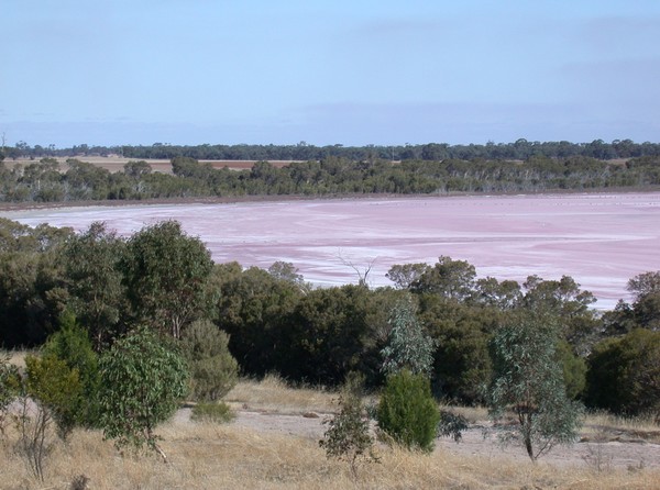 Pink Lake